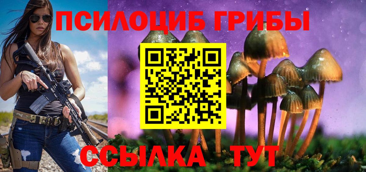 Псилоцибиновые грибы Psilocybe Славгород