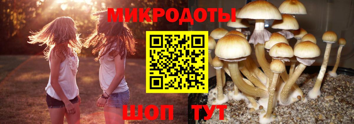 Галлюциногенные грибы мухоморы  Псилоцибиновые грибы мухоморы  Вход с VPN  Славгород 