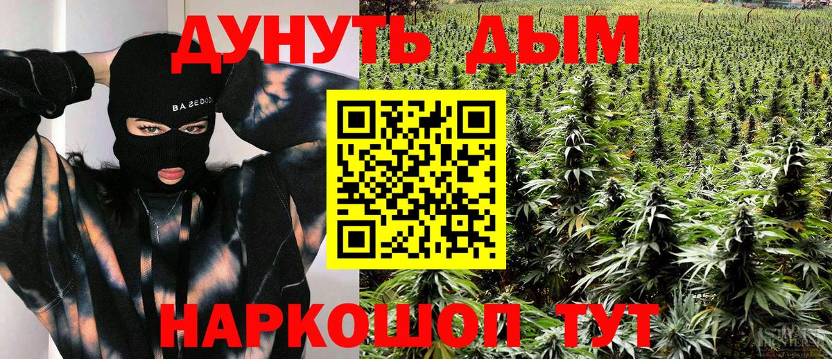 Канабис план  Бошки Шишки MAZAR  Бошки Шишки VHQ  Каннабис Amnesia  Вход с VPN  Славгород 